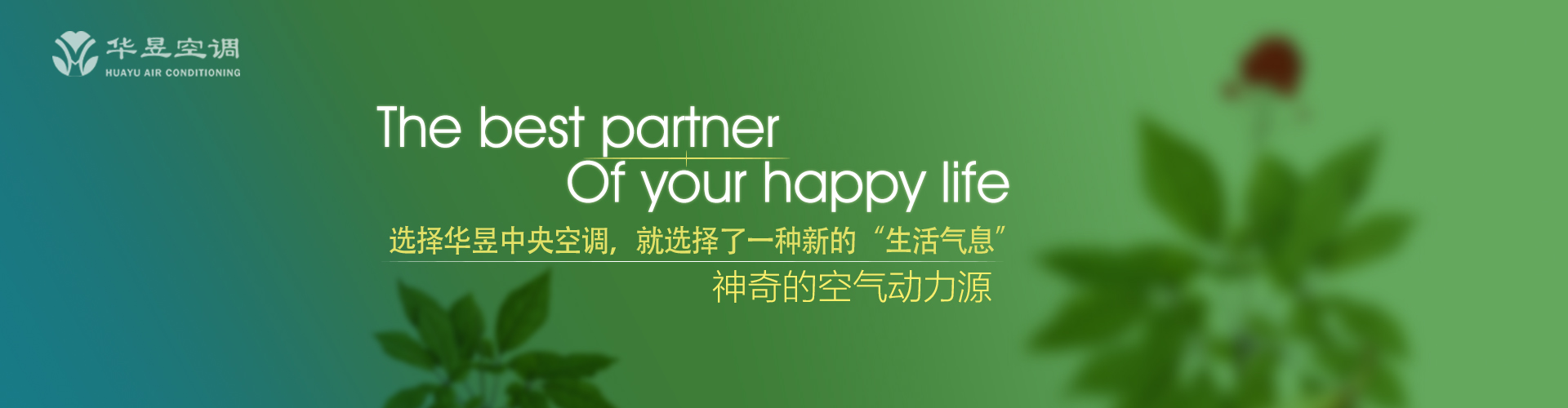 附凤攀龙网